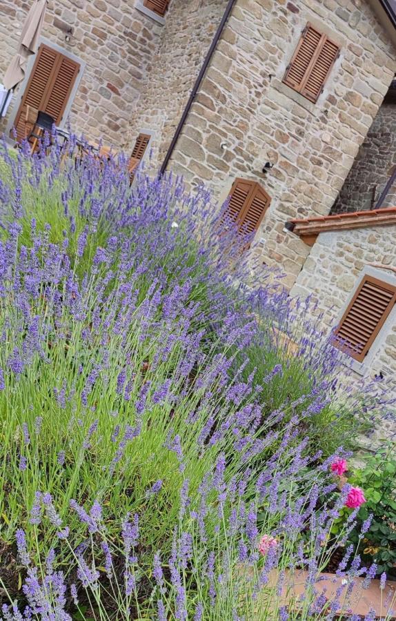Podere Verdi Colline Poppi Esterno foto