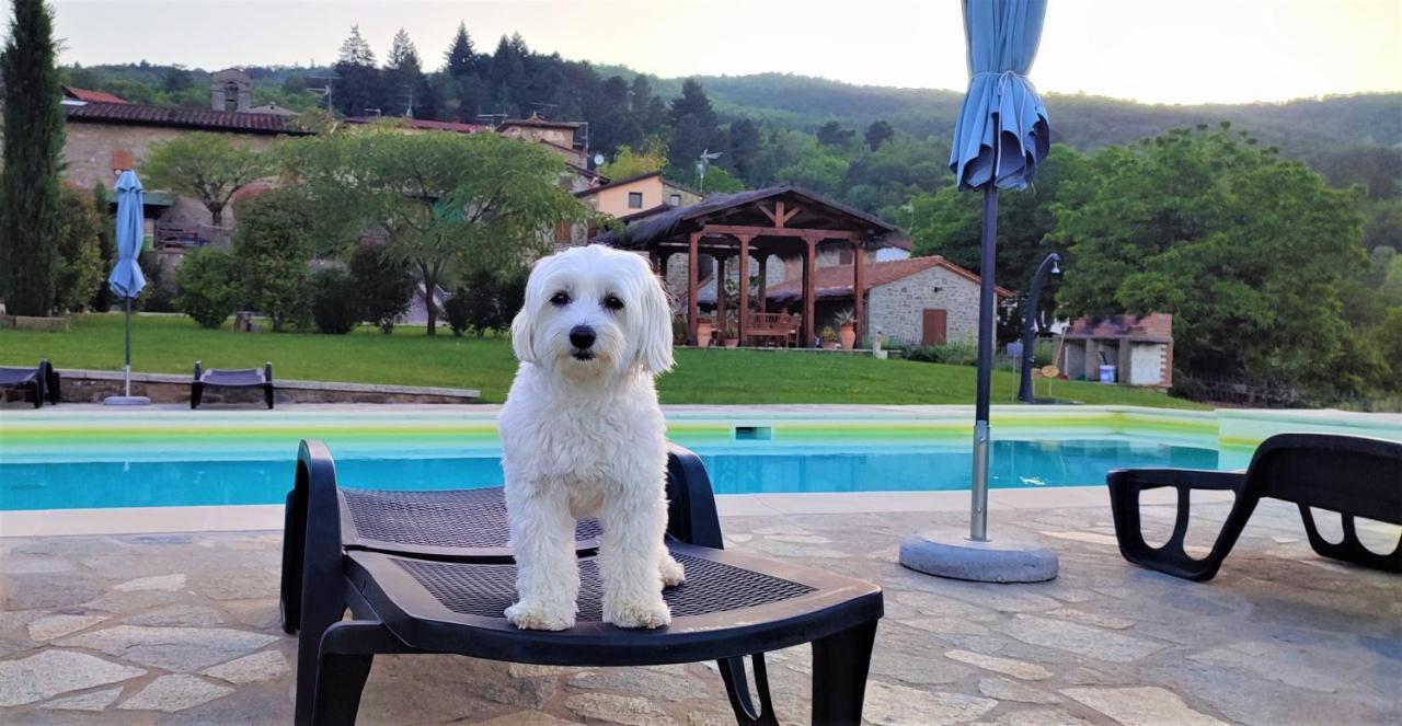 Podere Verdi Colline Poppi Esterno foto