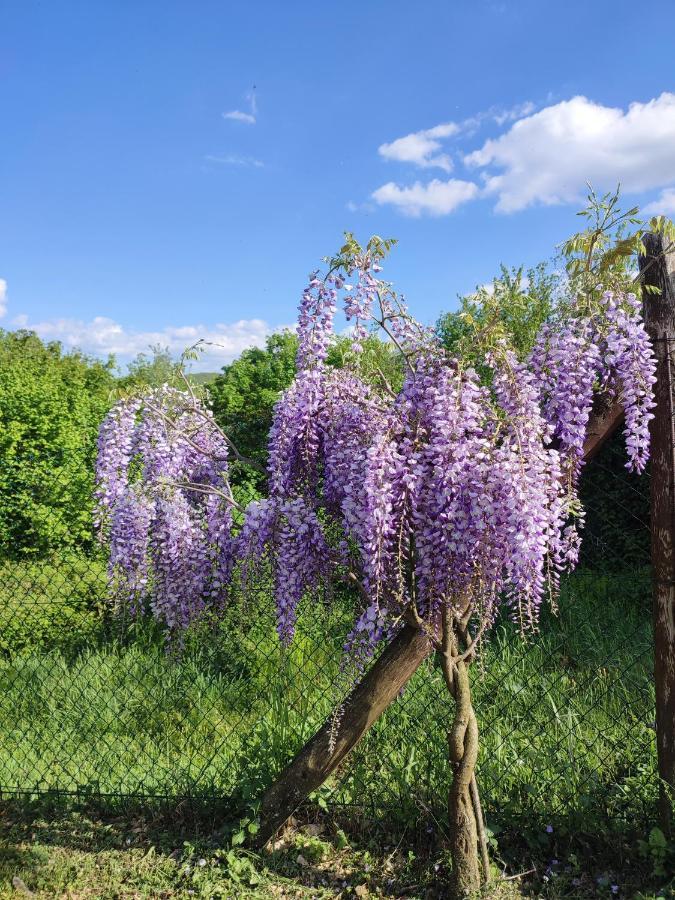 Podere Verdi Colline Poppi Esterno foto